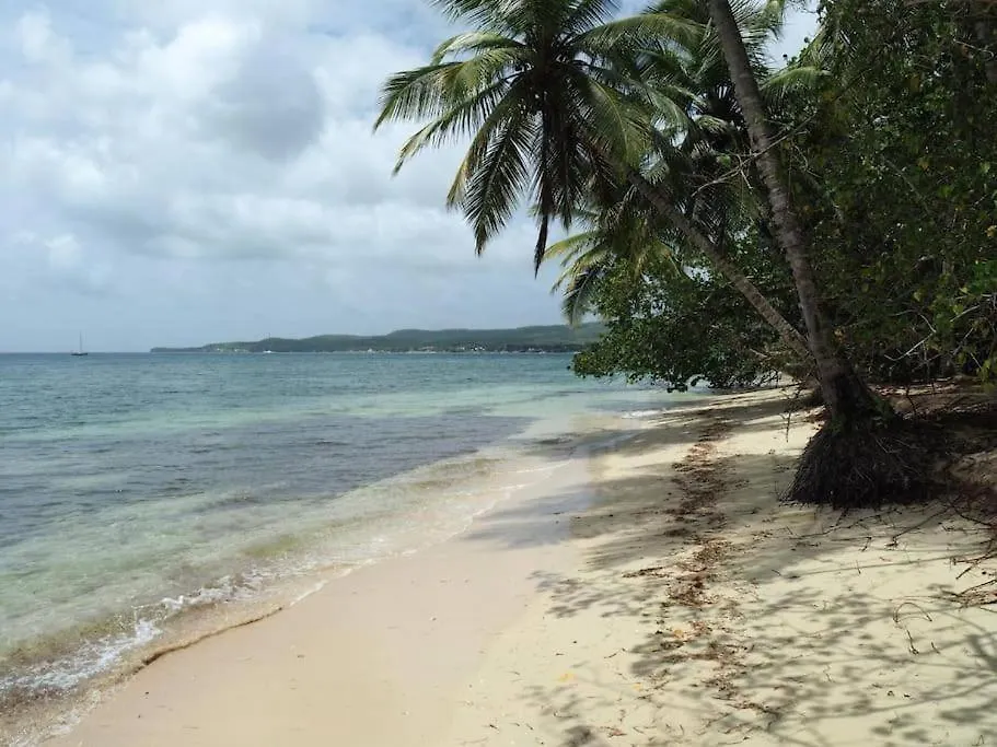 Le Blue Dream- Appartement Grand-Bourg  Guadeloupe